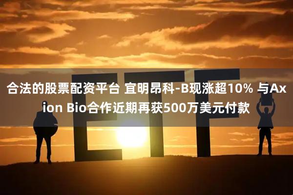 合法的股票配资平台 宜明昂科-B现涨超10% 与Axion Bio合作近期再获500万美元付款