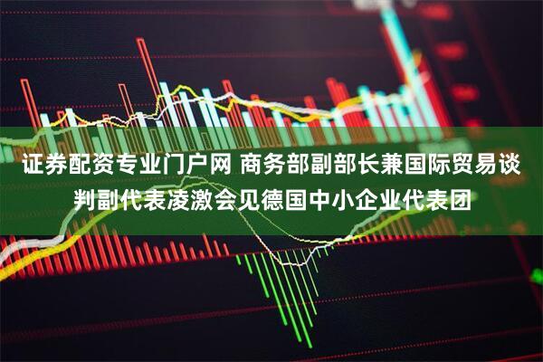 证券配资专业门户网 商务部副部长兼国际贸易谈判副代表凌激会见德国中小企业代表团