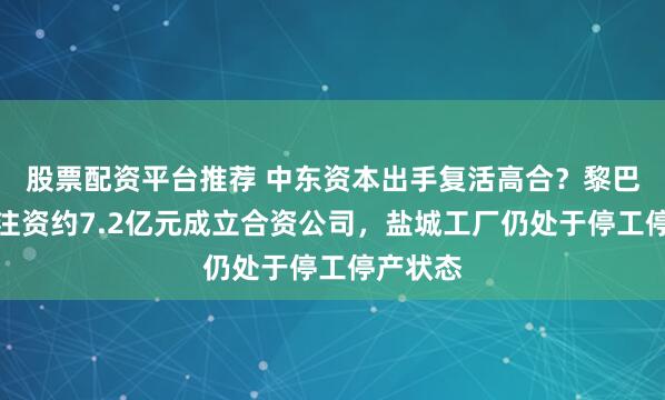 股票配资平台推荐 中东资本出手复活高合？黎巴嫩公司注资约7.2亿元成立合资公司，盐城工厂仍处于停工停产状态