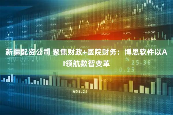 新疆配资公司 聚焦财政+医院财务：博思软件以AI领航数智变革